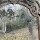 Art Deco wrought iron bird mirror in the style of Gilbert Poillerat, circa 1930