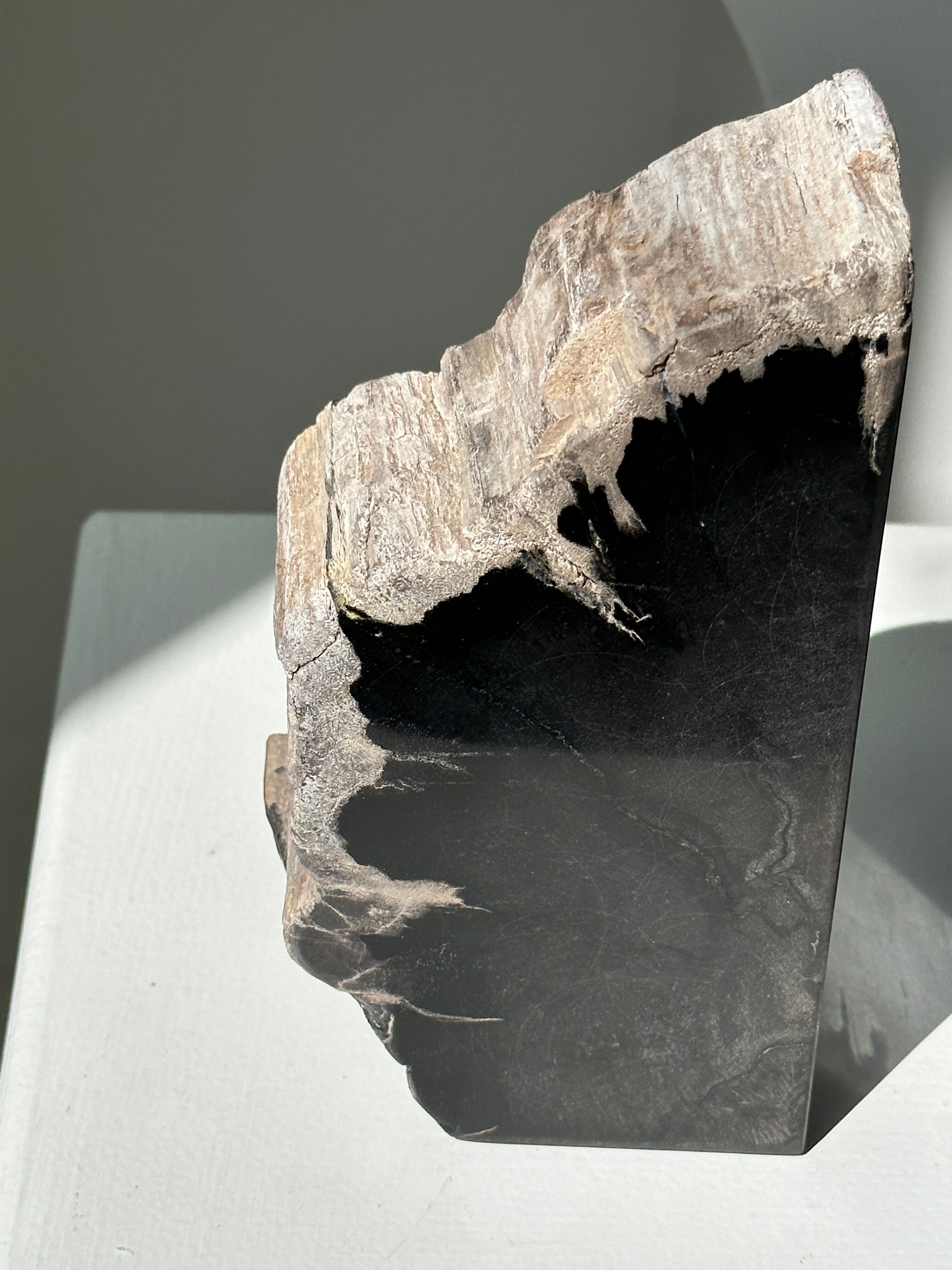 Black petrified wood bookend H17 L17 P6