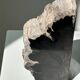 Black petrified wood bookend H17 L17 P6