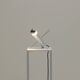 “Krekel” table lamp by Otto Wasch for Raak Amsterdam, 1960s The Netherlands.