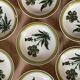 Assiettes creuses en grès Herbier Gien