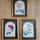 Illustrations florales encadrées