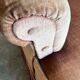 Canapé vintage rose poudré/place simple/fauteuil à franges