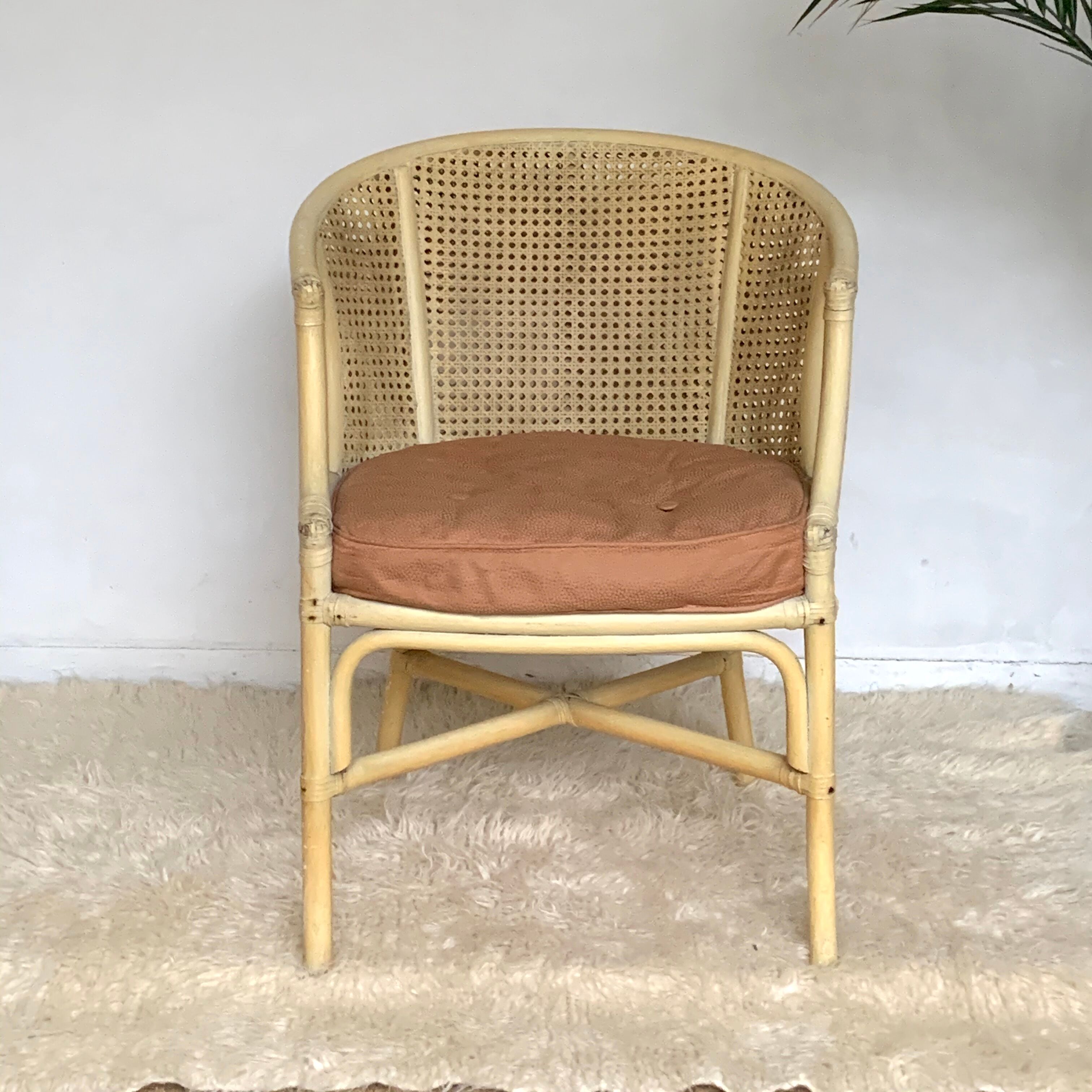 Rattan and canning armchair