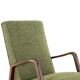 Knicos Armchair in Wengé with Green Upholstery | very rare dutch design