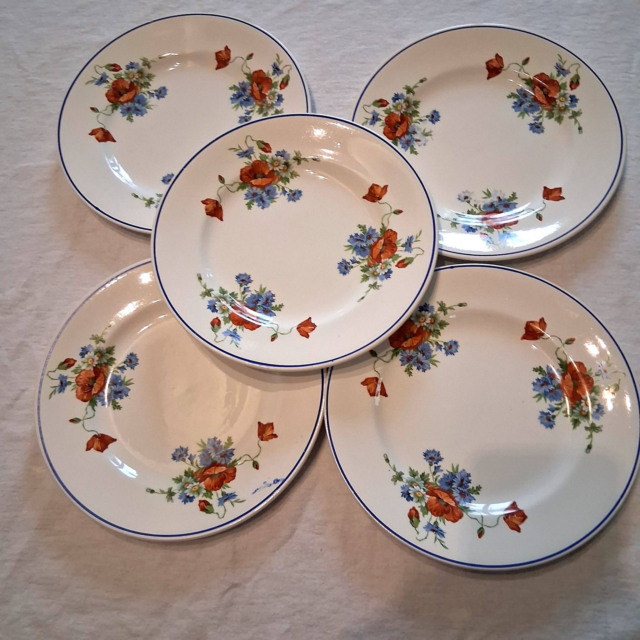 Set of 5 plates from Salins les Bains model "Poppies" in good condition.