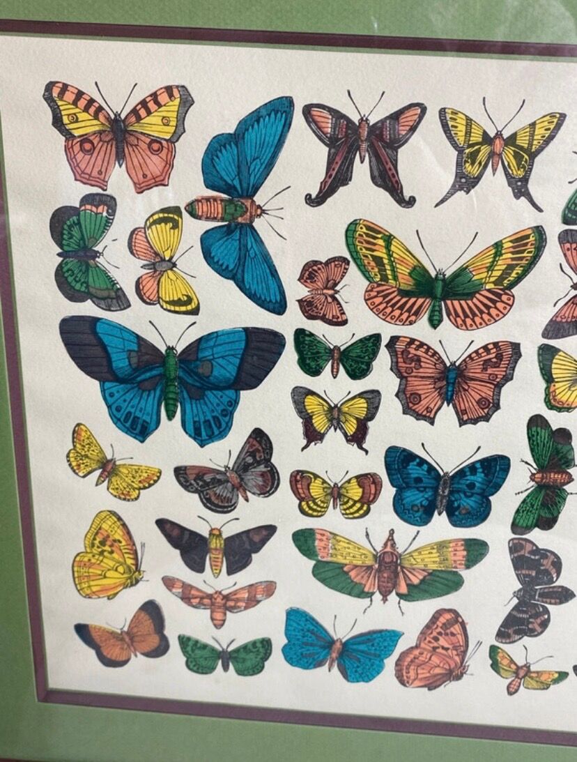 Affiche, planche papillons par l’imagerie d’Epinal