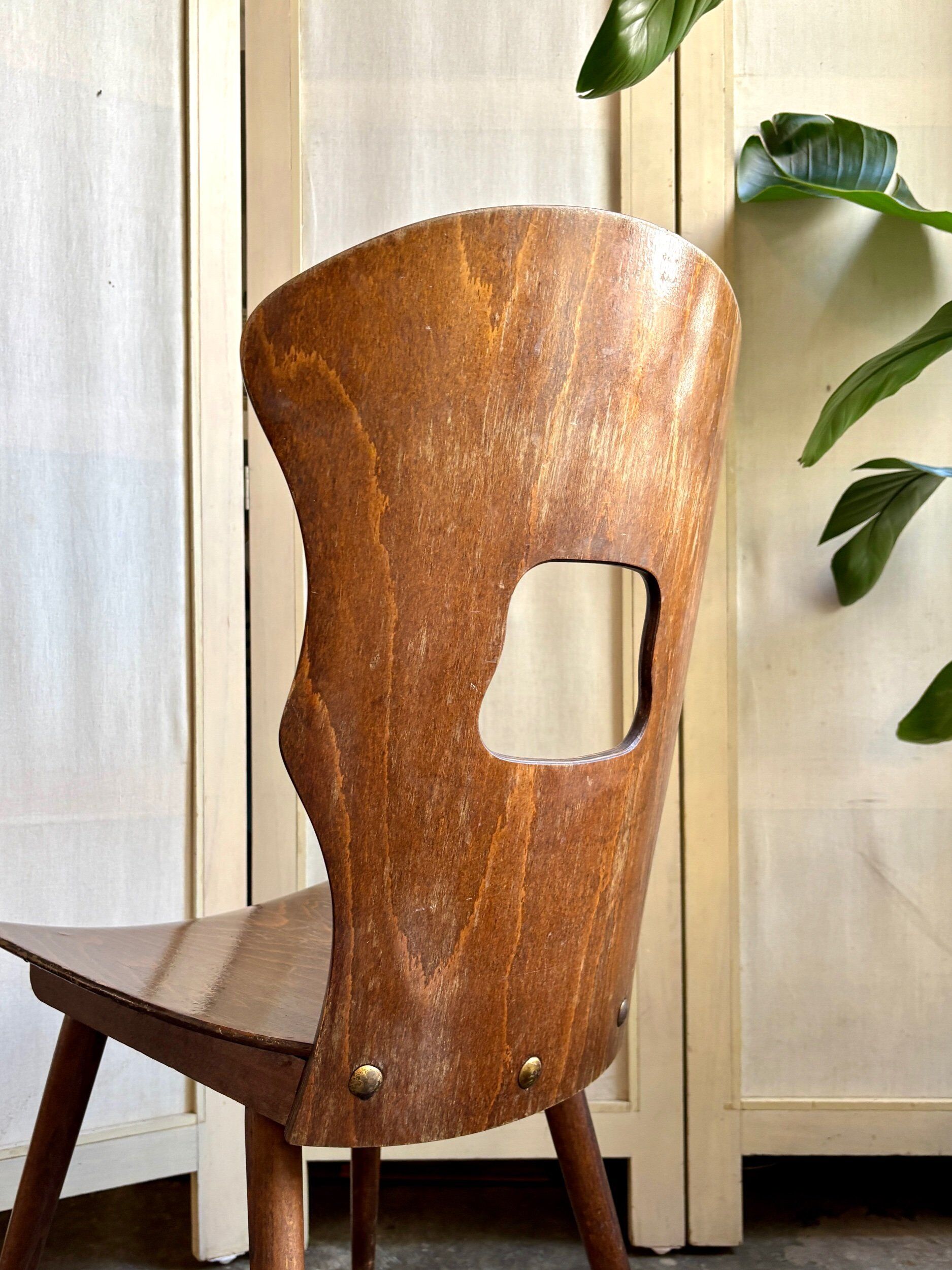 Baumann chair model "Gentiane" in dark wood