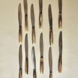 Set of 12 dessert knives Apollonox