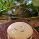 opaline box with floral pattern, 60s