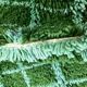 Square green Beni Ouraine Berber rug, size 160 x 240 cm