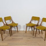 Chairs from Zamojska, Poland, 1970s, Set of 4