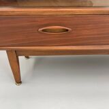 Vintage Jentique small wall unit/display cabinet from the 1960s made of teak