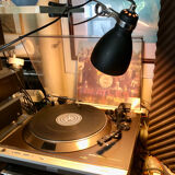 Black/pink clip spotlight