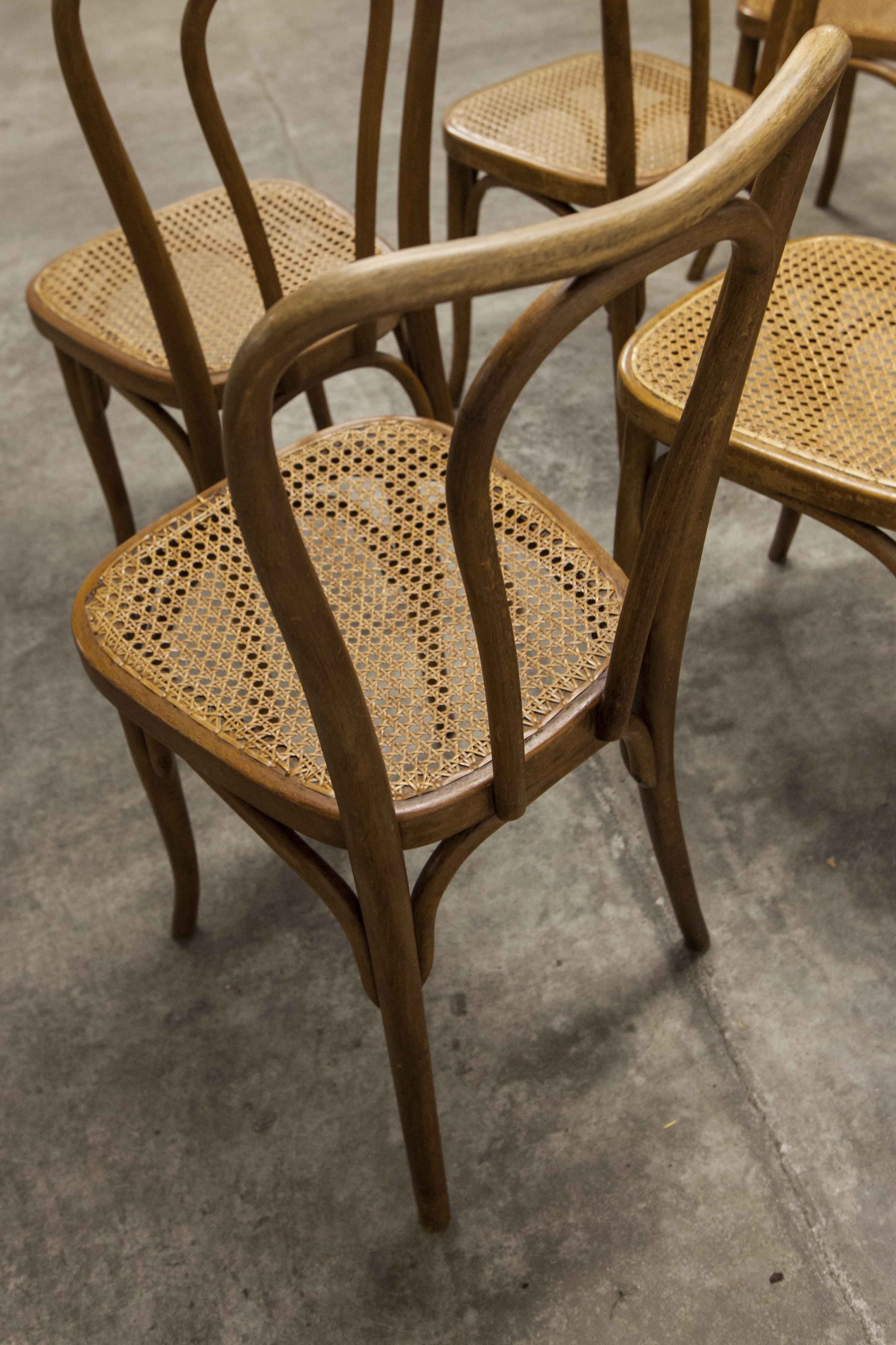 Set of 6 chairs bistro j&j kohn 1900 seat cannage