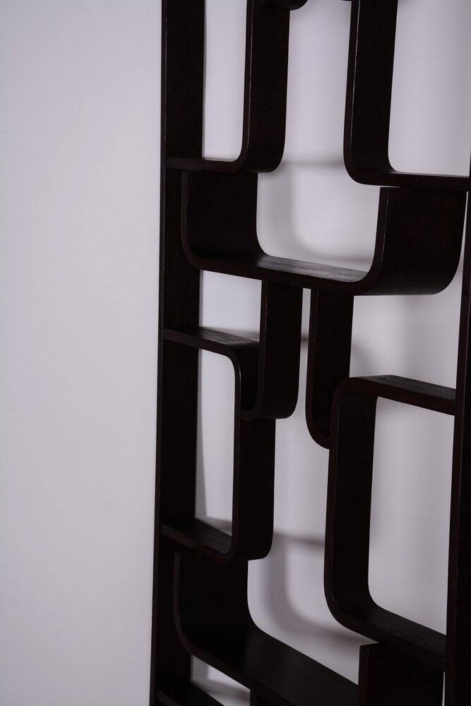 Mid-Century Room Divider in Dark Brown Oak attributed to Ludvik Volak for Drevopodnik Holesov, Former Czechoslovakia, 1960s