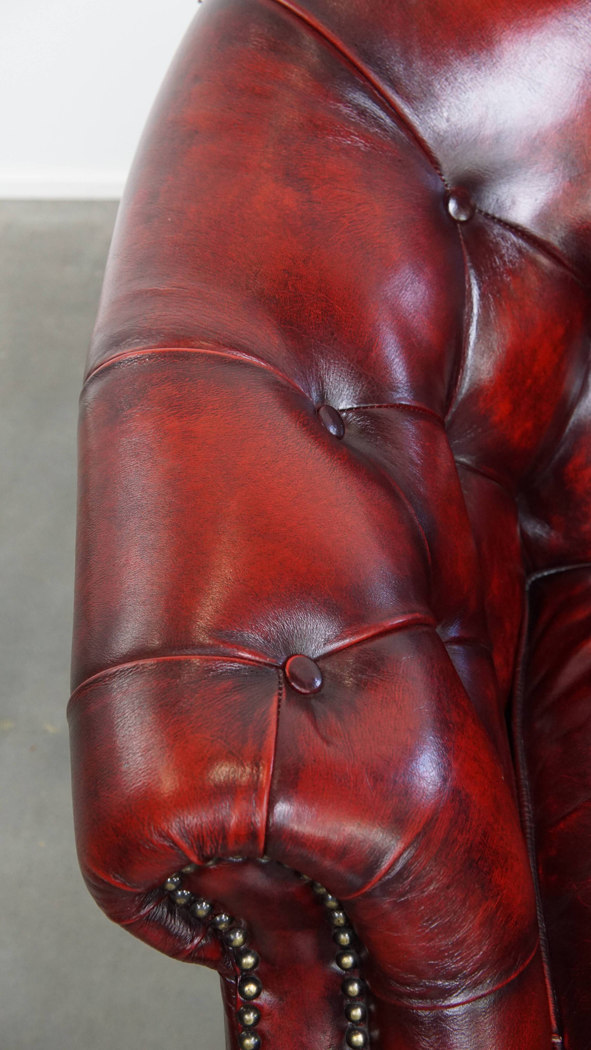 Ensemble de 6 fauteuils club Chesterfield en cuir de vache anglais