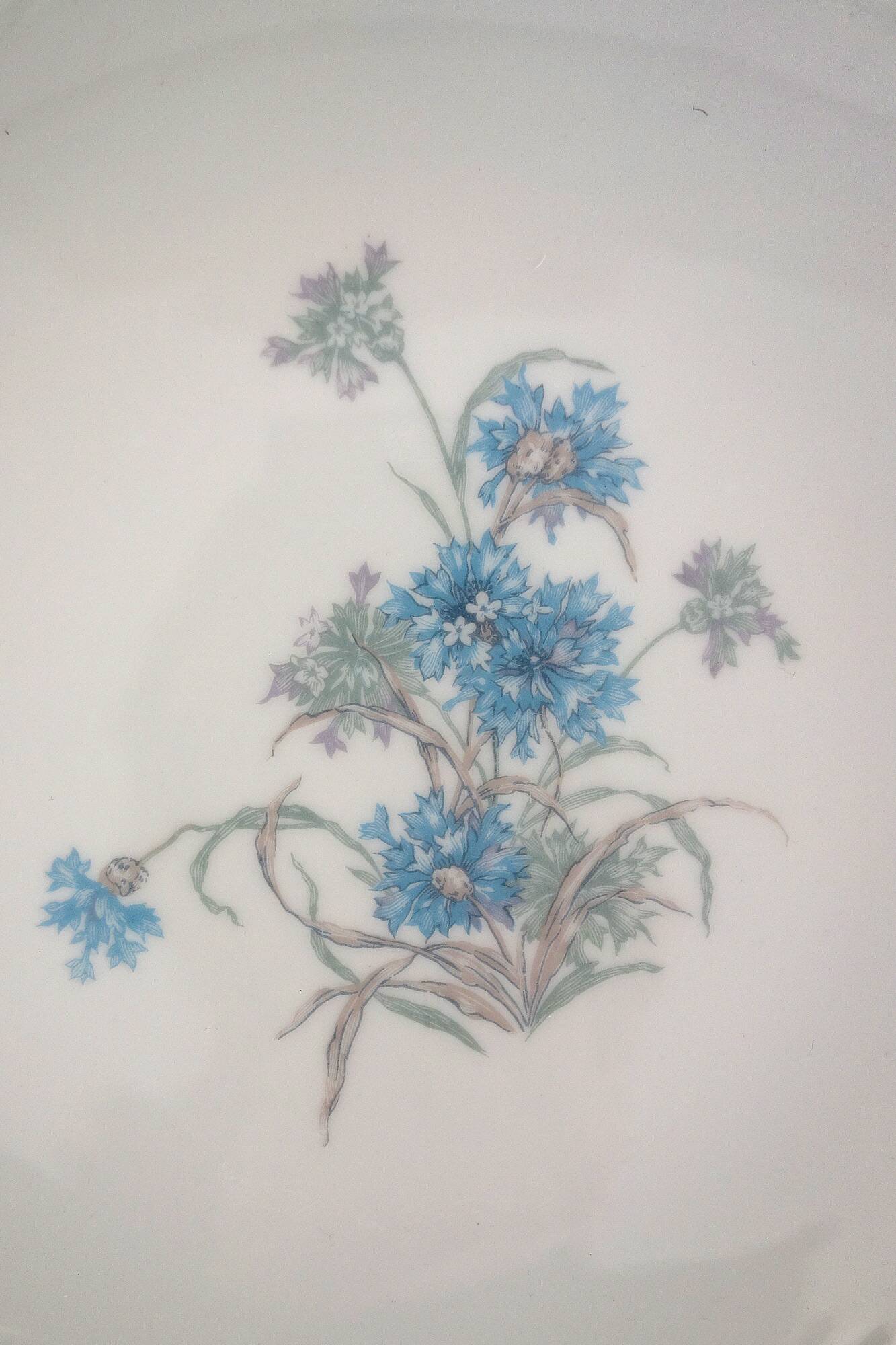 Dessert service for 12 "Bergère", Haviland Limoges