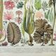 Antique engraving 1898, Algae, marine plant, flora • Lithograph, original illustration