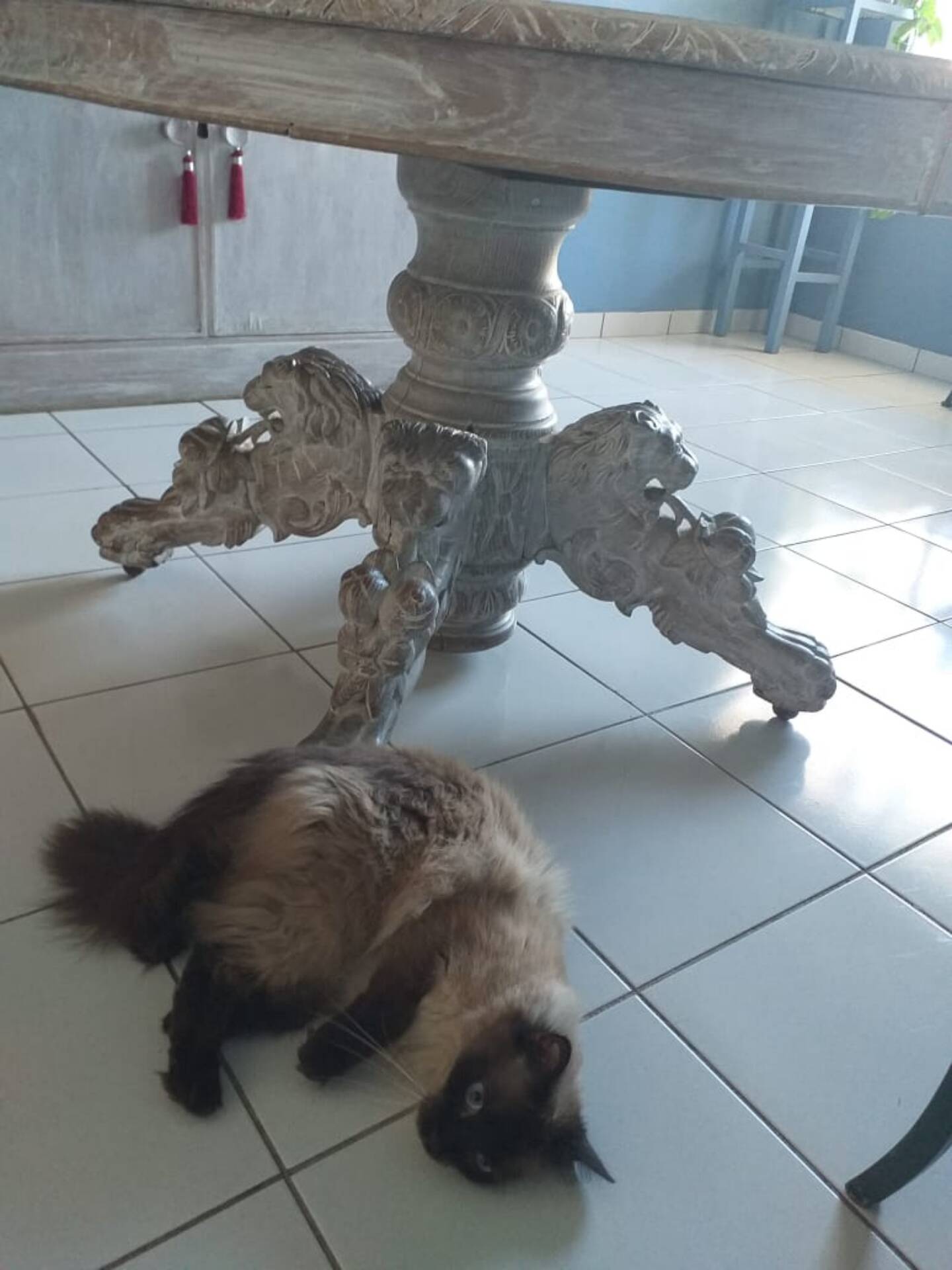 Belle table en chêne