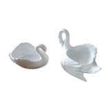 Duo of cignes