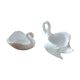Duo de cignes