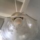 Vintage tulip hanging