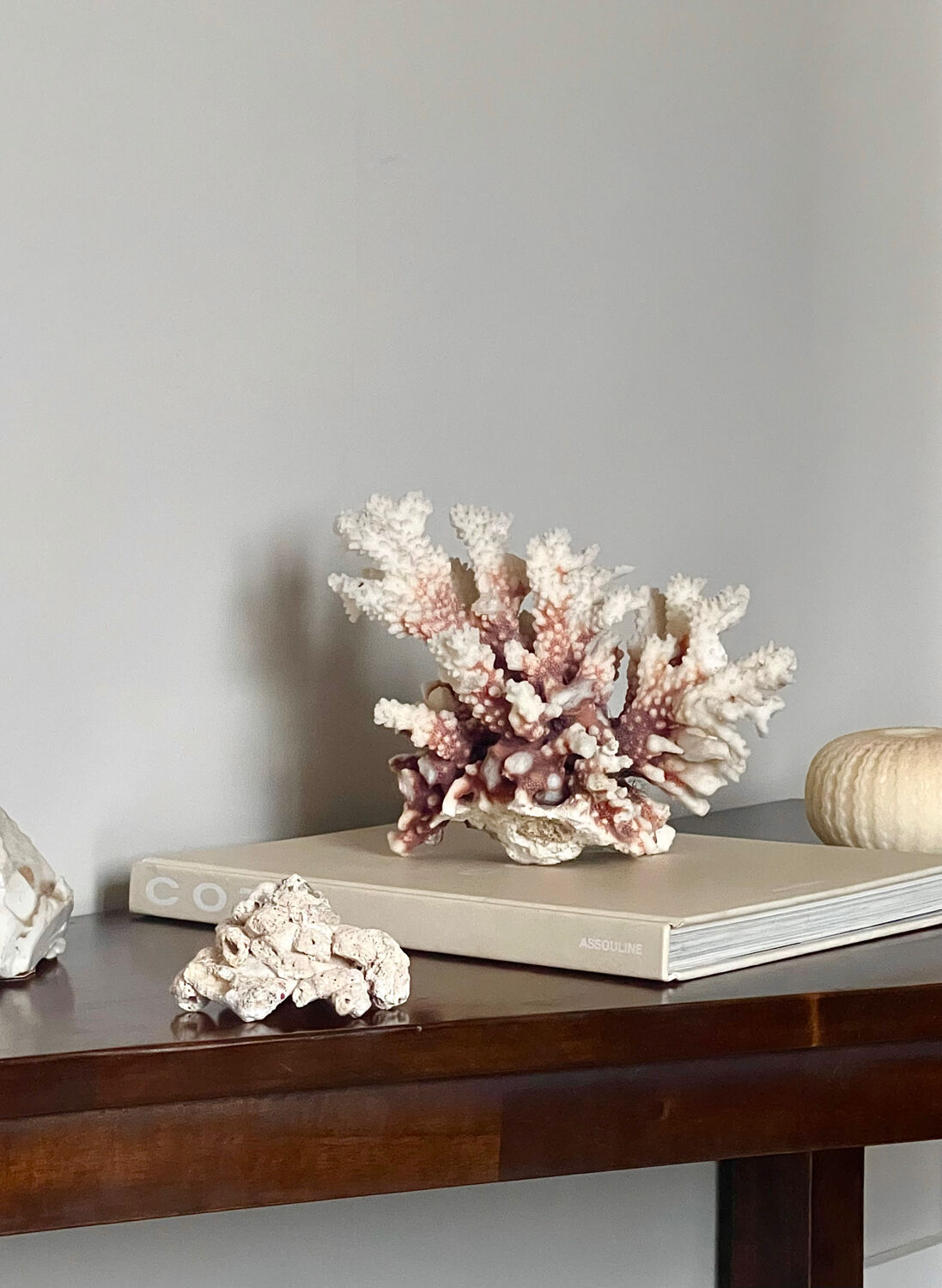 Natural branching coral.