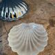 Butter shellfish