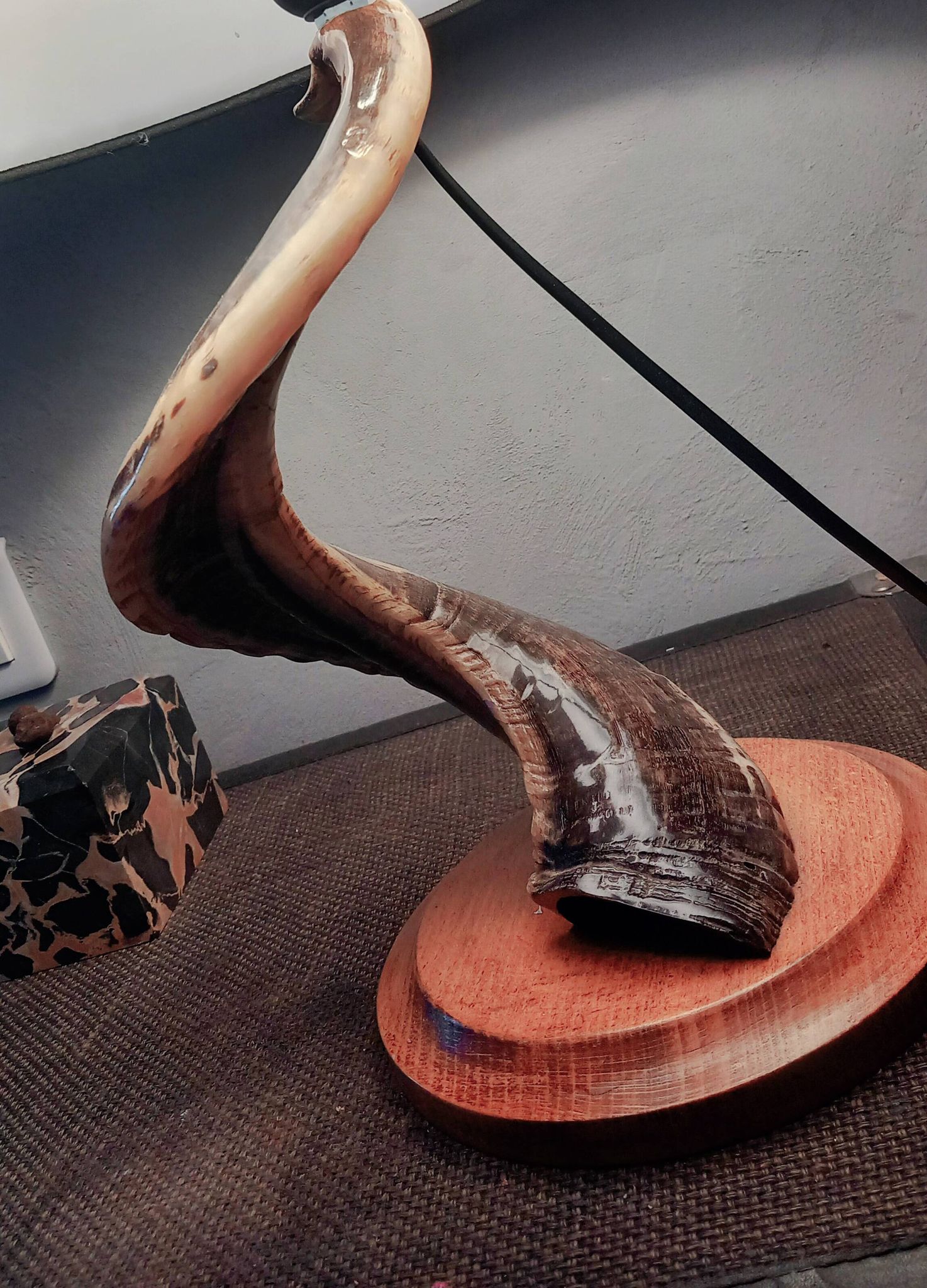 Lampe de salon brutaliste corne de Belier 1970