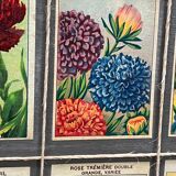 Panneau fleurs