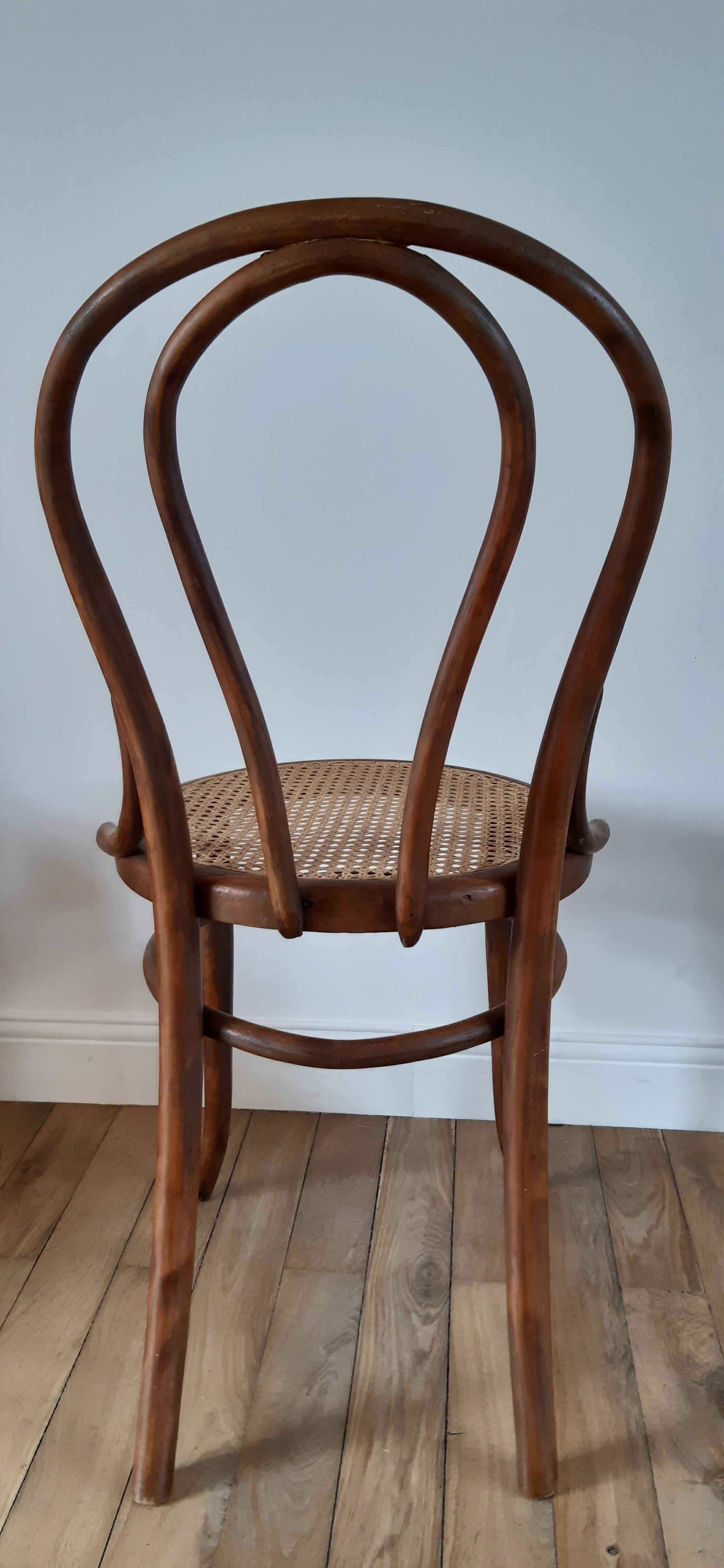 Chair in bentwood and canning XIXth