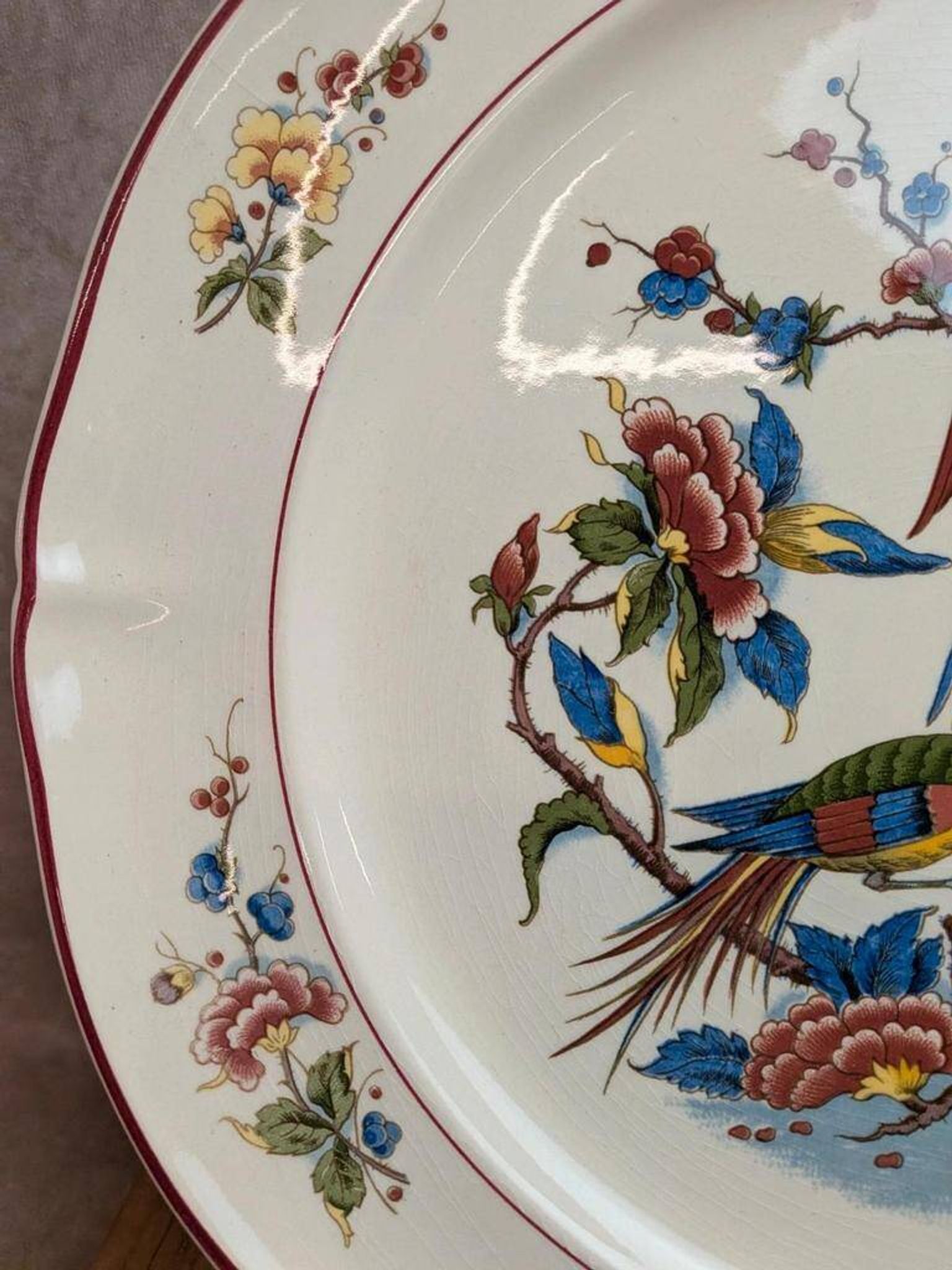 Grand plat rond Villeroy & Boch Phoenix – Terre de fer – 33,5 cm – Oiseaux exotiques