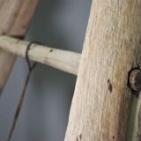 Fir and beech staircase