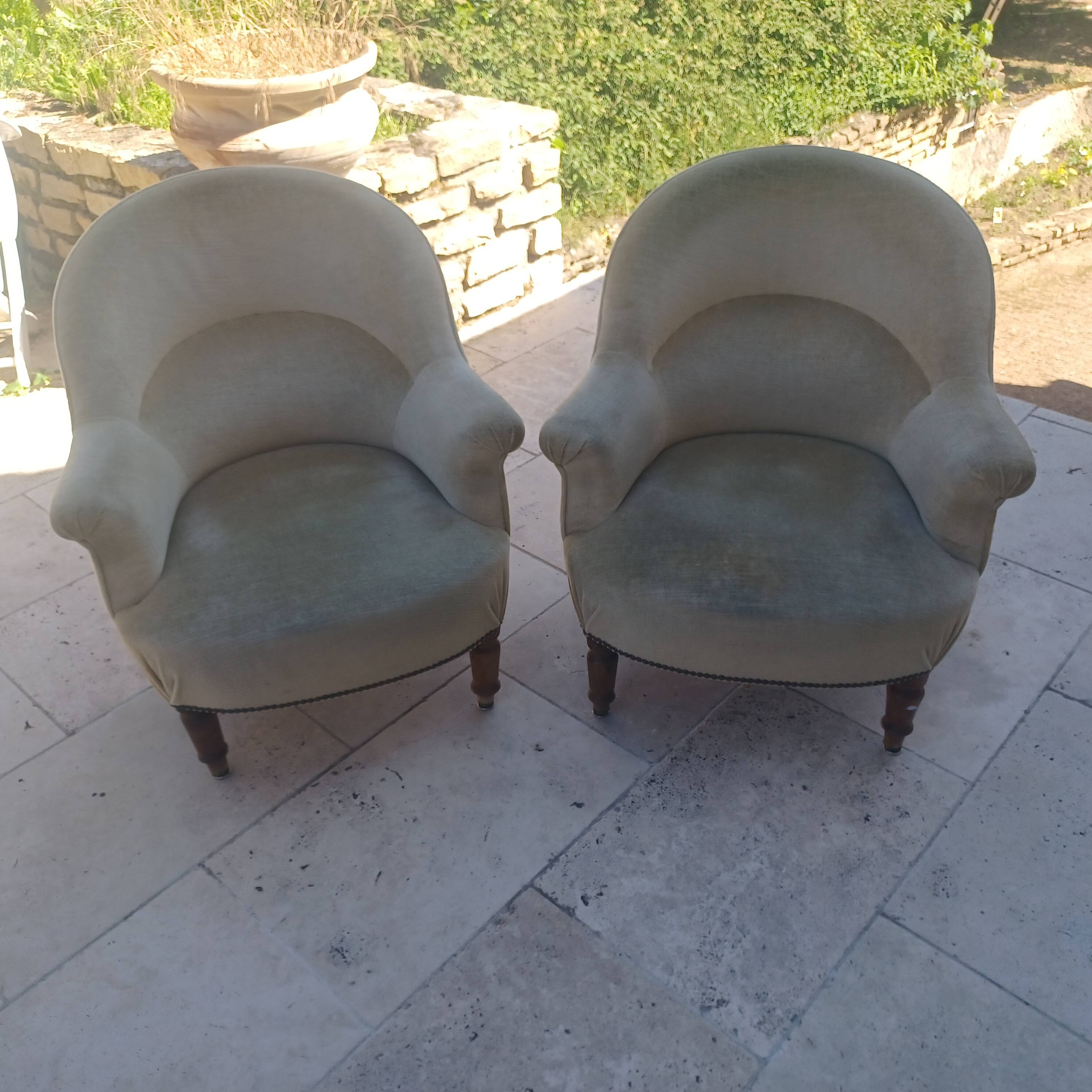 Frog armchairs