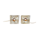 Deux appliques en verre coulé