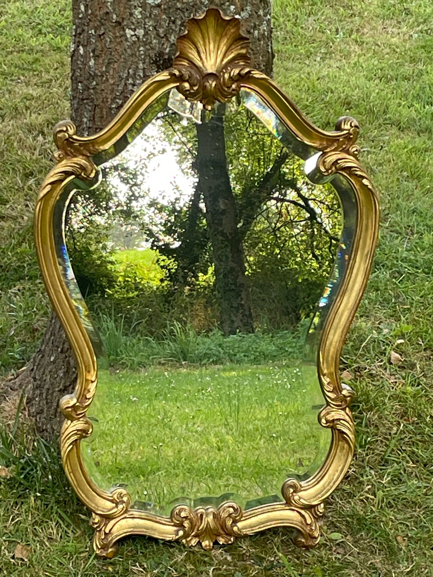 Beveled gilded wood mirror with violin shapes, Louis XV baroque style shell