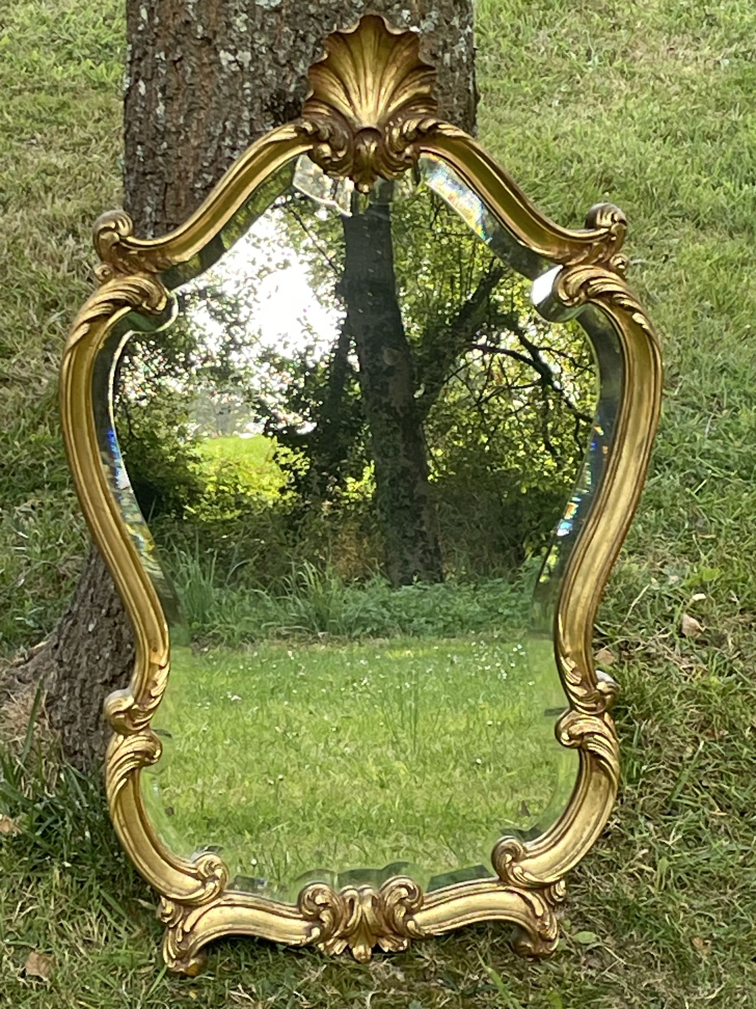 Beveled gilded wood mirror with violin shapes, Louis XV baroque style shell
