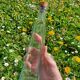 Carafe en verre - Vintage -