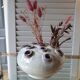 Flower holder