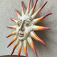 Vintage sun sign