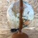 Old globe world map tecnodidattica beige