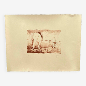 Lithograph on paper by M. Verger draft horse numbered 25/30 20th