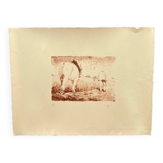 Lithographie sur papier par M. Verger cheval de trait numérotée 25/30 XXe