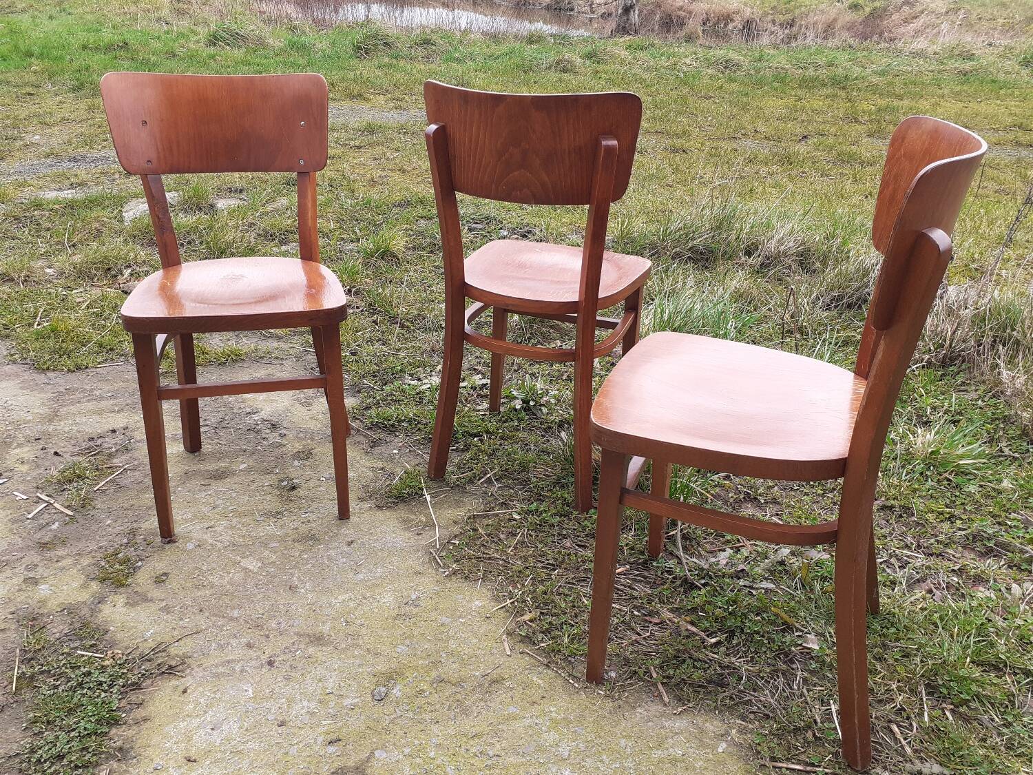 Antique chairs