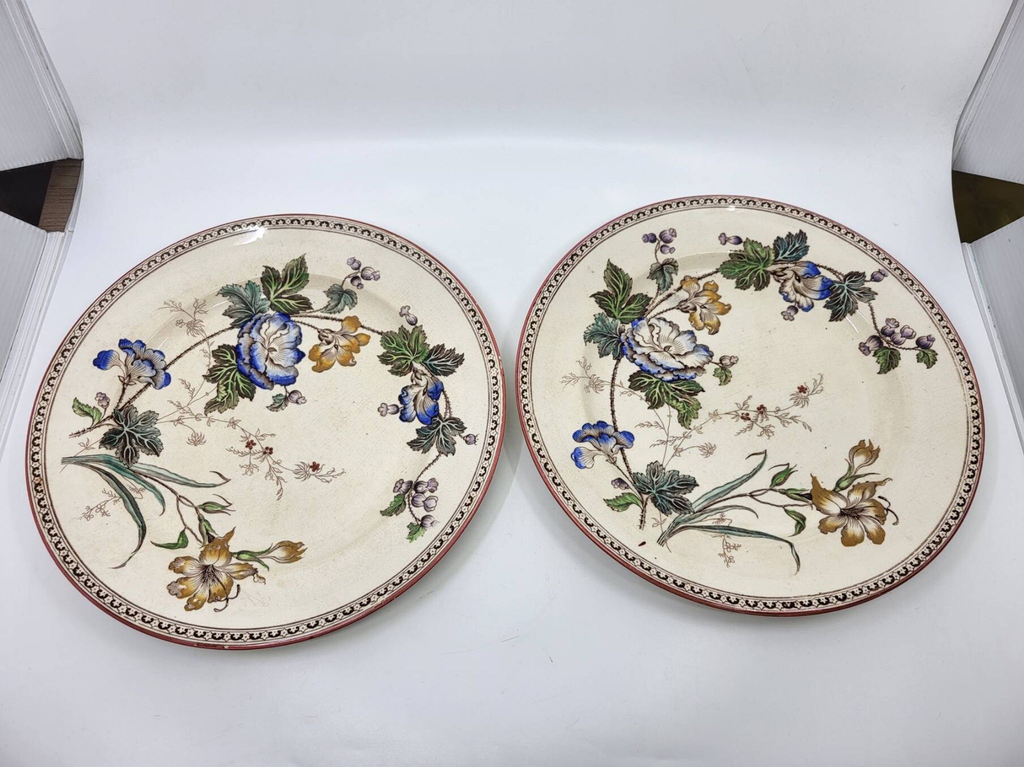 Victorian plate set by Brownfield & Sons model "Texas" England 1880