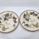 Victorian plate set by Brownfield & Sons model "Texas" England 1880