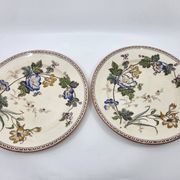 Victorian plate set by Brownfield & Sons model "Texas" England 1880