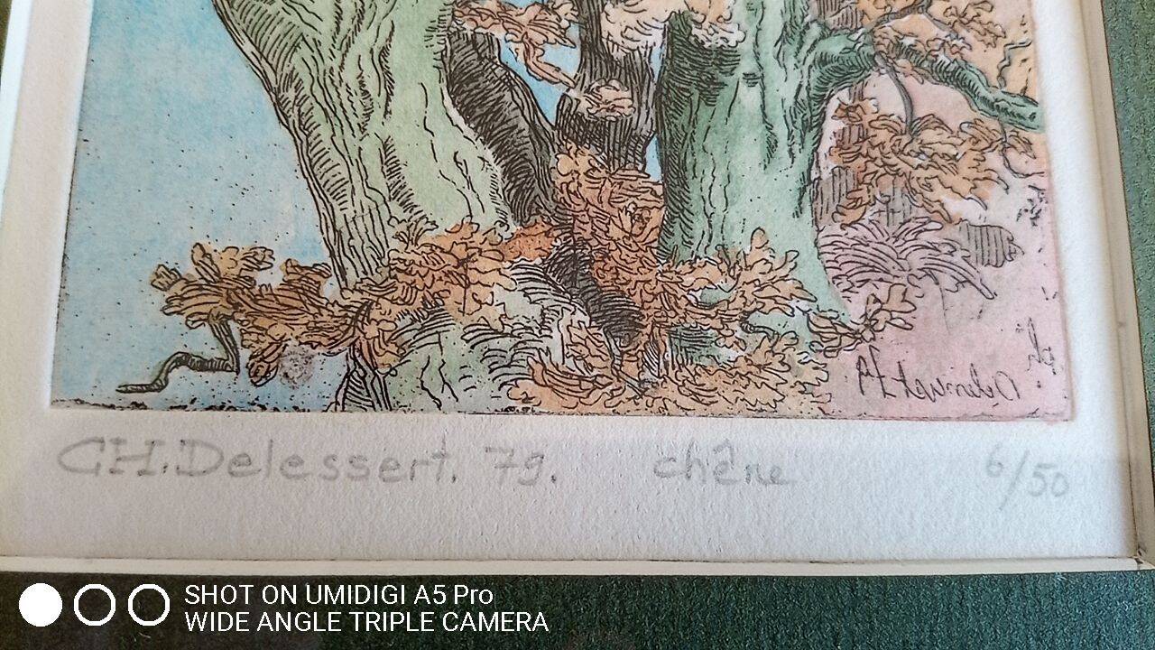 Etching - Christine Delessert - 12 x 9 cm - Lyonnaise school - justified 6/50