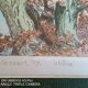 Etching - Christine Delessert - 12 x 9 cm - Lyonnaise school - justified 6/50